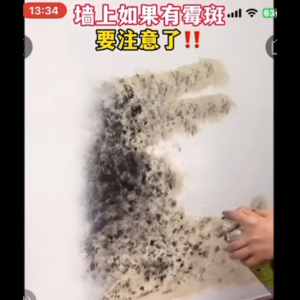 Wall Spray Paint Anti Mould Paint || DIY Wall Touch Up Paint Repair Cracks Holes Gaps || Mould Formaldehyde Remover