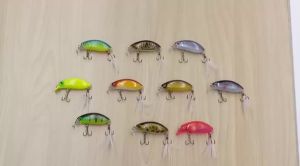 10 Cái Mồi Câu Crankbait Chưa Sơn 6cm 8.3g Thân Cứng Trong Suốt Tự Chế Dùng Cho Sông Hồ Đập Ao
