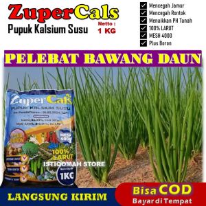 ZUPERCALS 1 KG - Pupuk Kalsium Susu Pelebat Bawang Daun Paling Ampuh Meningkatkan Pertumbuhan dan Kualitas Bawang Daun Mempercepat Pembentukan Daun dan Menjamin Hasil Panen yang Lebih Maksimal