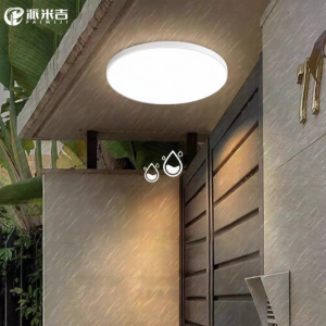 PAIMIJI | Outdoor Ceiling Light Insect-Repellent Lighting
