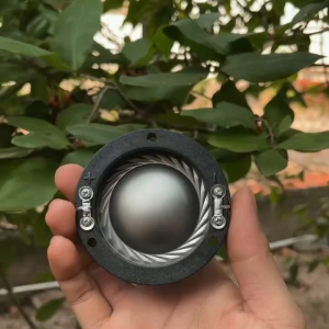 Coil treble 450 (44.4mm) không cọc giá 1 cái