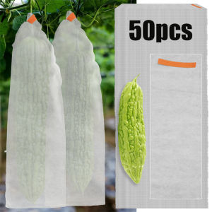 ถุงหูรูดกันแมลงในสวนใหม่50ชิ้นถุงบางระบายอากาศได้ดีป้องกันความยาวไม่กระเป๋าถือสตรีสีสดใสผลไม้สวนผลไม้ป้องกันนก