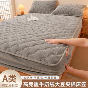 Winter Milk Velvet Bed Canopy Single Cotton Encased Mattress Protector Coral Fleece Bedding Cover Warmth Retention Quality