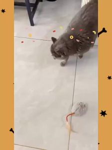 Fun Realistic Cat Plush Mouse Toy Interactive Running Mice with Dog Tail for Cats Kitten Teaser Pet Toys for Indoor Play and