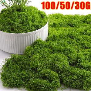 Artificial Green Moss Eternal Life Moss Grass Potted Plant Flowers Home Living Room Garden Decoration Mini Landscape DIY Crafts