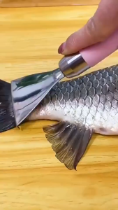 Alat Pembersih Pengupas Sisik Ikan Stainless Steel Anti Karat / Fish Scale Skin Remover Scraper / Pengupas Sisik Ikan