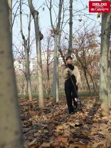 DELIXI Electric | Lithium Battery Operated Telescopic Pole Pruning Saw