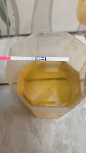 Buah Zuriat Mesir Promil Mesir Asli - Buah Langka Utuh Program Garis Dua Sehat Dan Aman Buah Zuriyat Ajaib