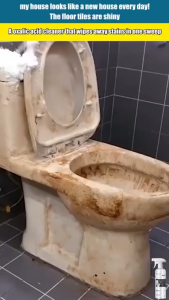 Powerful Oxalic Acid Stain Removal Cleaning Spray 300ml Toilet Glaze Cleaner Multi-Purpose Bathroom Tile Cleaning Agent