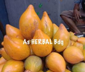 Jual buah sawo mentega sawo belanda buah alkesa 1 kg-az