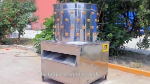 Poultry hair removal machine artifact stainless steel chicken duck goose pigeon electric hair removal machine Kingkong chicken plucking machine