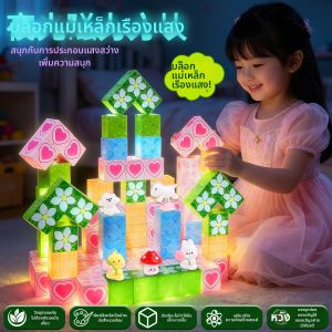 QIQIFISH | Khối Xây Dựng Tự Làm Có Đèn Học Tập 6 Hình Hoạt Hình