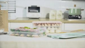 Food Container Storage Box Multilayer Frozen Dumpling Storage Box Refrigerators Receive Egg Boxes 冷冻饺子盒 多功能冰箱保鲜盒