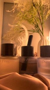 AIMORE | SCENT MARK REED DIFFUSER AROMA FRAGRANCE OIL 50ML PABANGO SCENTED FRESHENER