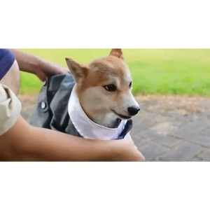 S-2XL *SG Stocks* Dog Tuxedo pet wedding suit dog clothes holiday dog wedding wedding dress party gentleman dog clothes