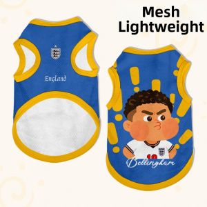 LEXI | Pet Shedding Prevention Vest