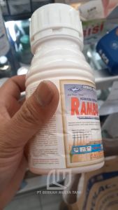 Rambo 480 SL: Herbisida Sistemik Paling Ampuh Sampai Akar