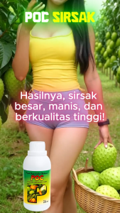 POC SIRSAK – Pupuk Sirsak agar Cepat Berbuah & Lebat Buah Lebih Manis dan Berkualitas