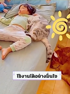 🔥ซื้อ 1 แถม 2 ฟรี🔥ยากำจัดแมลงสาบ ไล่แมลงสาบ ยาฆ่าแมลงสาบ กำจัดแมลงสาบ 120g สะดวกรวดเร็ว ประสิทธิภาพสูง ใช้ได้กับหลากหลายพื้นที่ ไล่แมลงสาบได้ทั้งวัน เจลกำจัดแมลงสาบ บ้านแมลงสาบ ฆ่าแมลงสาบ ที่ดักแมลงสาบ cockroaches killer