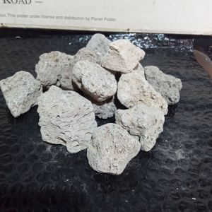 batu apung 1kg media filter aquarium/PUMICE MEDIA RUMAH BAKTERI AQUARIUM/GOSOK TUMIT/GOSOK KASALAN
