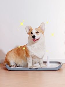 🔥66X50CM🔥 Dog Toilet Tray Dog Training Toilet Potty Tray Pet Dog Pee Tray Potty Tray Extra Large With Stand Column