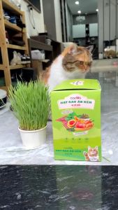 Thức ăn Cados Hạt Khô Rau Ăn Kèm Vị Bò Nướng Phô Mai Cho Chó