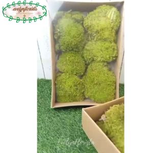 Lumut Box Lumut Imitasi Hiasan Tanaman Artificial Dekorasi Taman