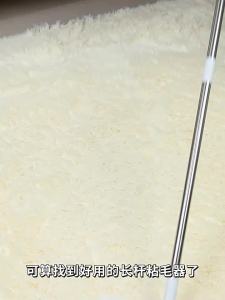 GRACE | Strong Hair and Pet Hair Removal Roller