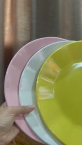 จานขอบหยักจากเมลามีนแท้ 100% ขนาด 10 นิ้ว แบบหนา 6 ใบ และ ยกโหล 12 ใบ มีมอก. ส่งตรงจากโรงงาน