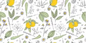 60X500cm Summer Fresh Lemon Floral Wallpaper for Bedroom Bathroom Background Wall Wardrobe Cabinet Home Decoration Wall Sticker Waterproof Self Adhesive Wall Paper