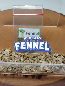 Benih Fennel Unggulan Berkualitas: Biji Bibit Adas Manis Hidroponik