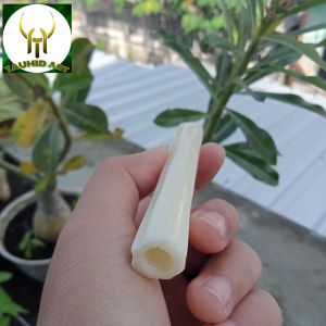 once sedotan tulang kerbau blimbing segi delapan Fs150