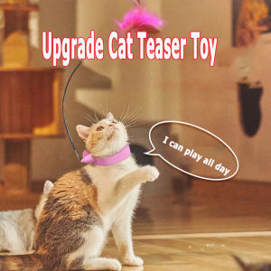 4 in 1 Collar Cat Teaser Stick Toys Upgrade Cat Toys For Cats Cat Play Toy Kitten Funny Toy