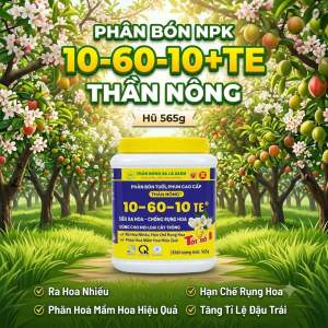NPK 10-60-10 Phân bón siêu kích hoa phân hoá mầm hoa ra bông rộ đều cây ăn trái - Hũ 565g