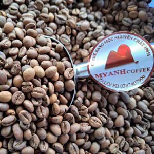 1kg Cà phê Robusta (tỉ lệ hái chín> 98%) rang mộc mức nhat ( LIGHT BROWN ) MYANH Coffee