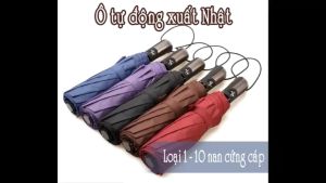 Ô dù tự động mở và gấp bằng nút bấm (Hàng xuất Nhật) loại 10 nan rộng 115cm