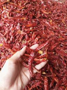 CABE MERAH KERING RAWIT TEJA/KERING SUPER IMPORT NON TANGKAI UNTUK ANEKA SAMBAL BOCI SEBLAK BAKSO