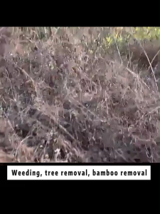 tree killer for home 100ml killer tree big tree killer coconut tree killer  killing bamboo