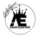 Agian.elektrik
