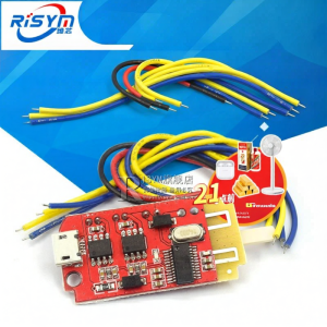 Risym | Bluetooth Amplifier Module USB Sound Card 5W