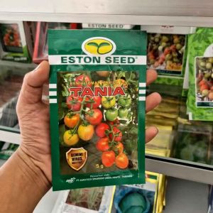 Tomat Tania Hibrida F1 5gr Ideal untuk Musim Hujan & Kemarau