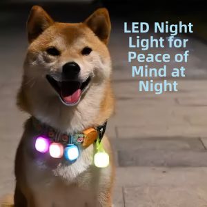 Glowing Loss Prevention Pet Accessory Flashing Pendant
