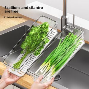 gumahus | Anti-Mold Anti-Damp Storage Box for Herbs and Grains