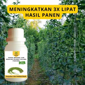 Pupuk Kacang Panjang / Pupuk Pelebat Kacang Panjang / Pupuk Booster Kacang Panjang Cair