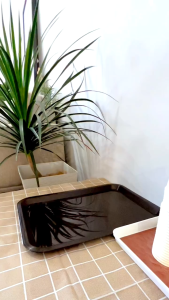 IKEA ÖGONTRÖST / OGONTROST Stand For Jar With Tap (Bamboo)