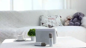 [In Stock]YS 224 Karaoke Set Portable Wireless Home KTV With 2 Microphones Karaoke Seaker Party Speaker Bluetooth