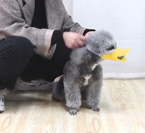 MONZA ที่ครอบปากสุนัข ที่ครอบปากหมา วัสดุซิลิโคน No.Y1653