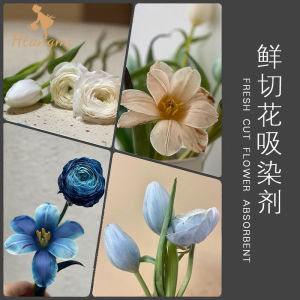 Flower Queen Fresh Flower Color Absorbing Agent: A Comprehensive Guide