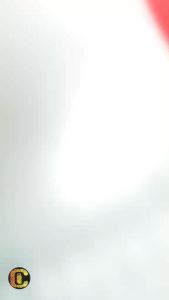 icx AVR Automatic Voltage Regulator 1500Watts