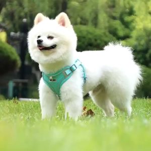 P49 Pet harness vest style dog harness breathable dog rope summer dog leash pet supplies